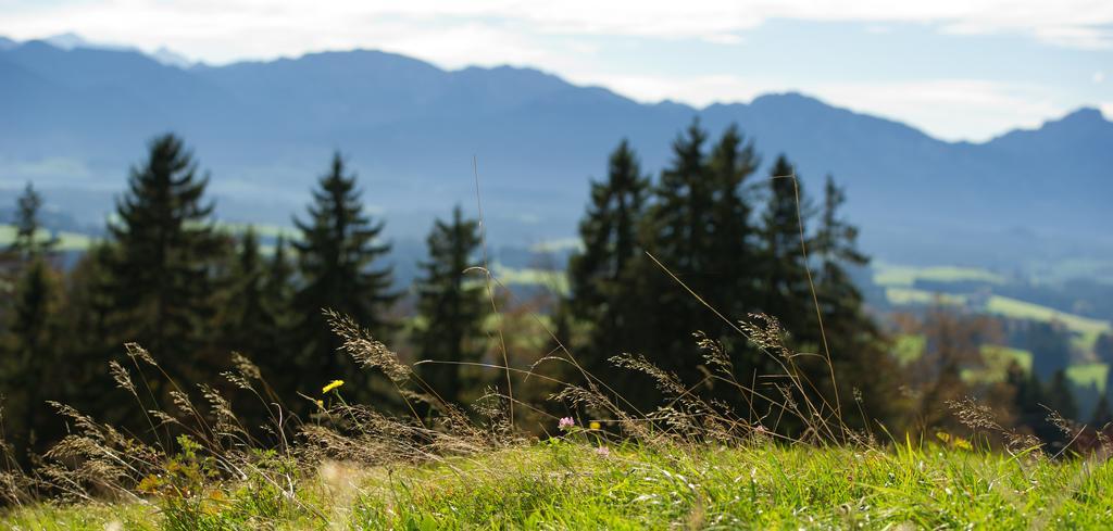 Panoramagasthof Auf Dem Auerberg Bernbeuren Exterior photo